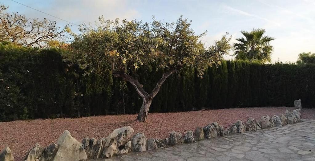 Villa Marti Calpe Exteriör bild