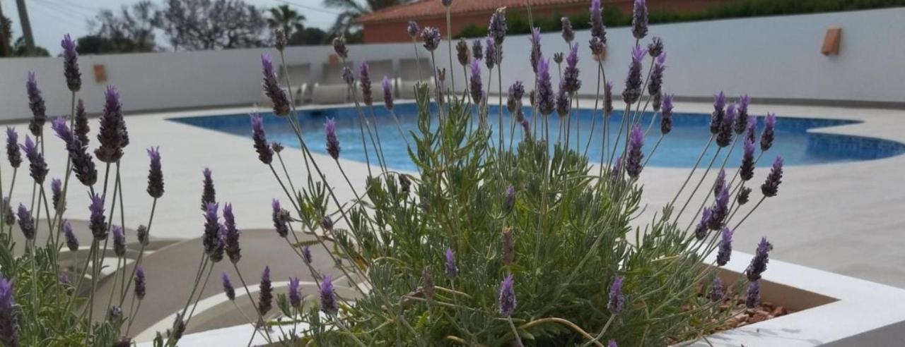 Villa Marti Calpe Exteriör bild